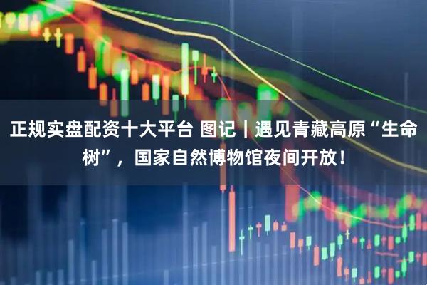 正规实盘配资十大平台 图记｜遇见青藏高原“生命树”，国家自然博物馆夜间开放！